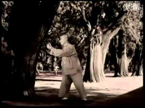 Taijiquan in the 50's