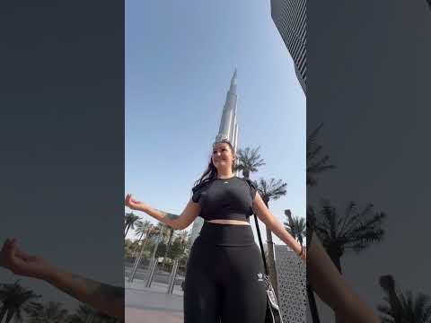 Lifeisbutadream Foodhumor Foodhumor Food Food Funny Foodjokes 