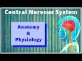 ANATOMY AND PHYSIOLOGY OF CENTRAL NERVOUS SYSTEM | GPAT-2020 | PHARMACIST EXAM | RAILWAY PHARMACIST