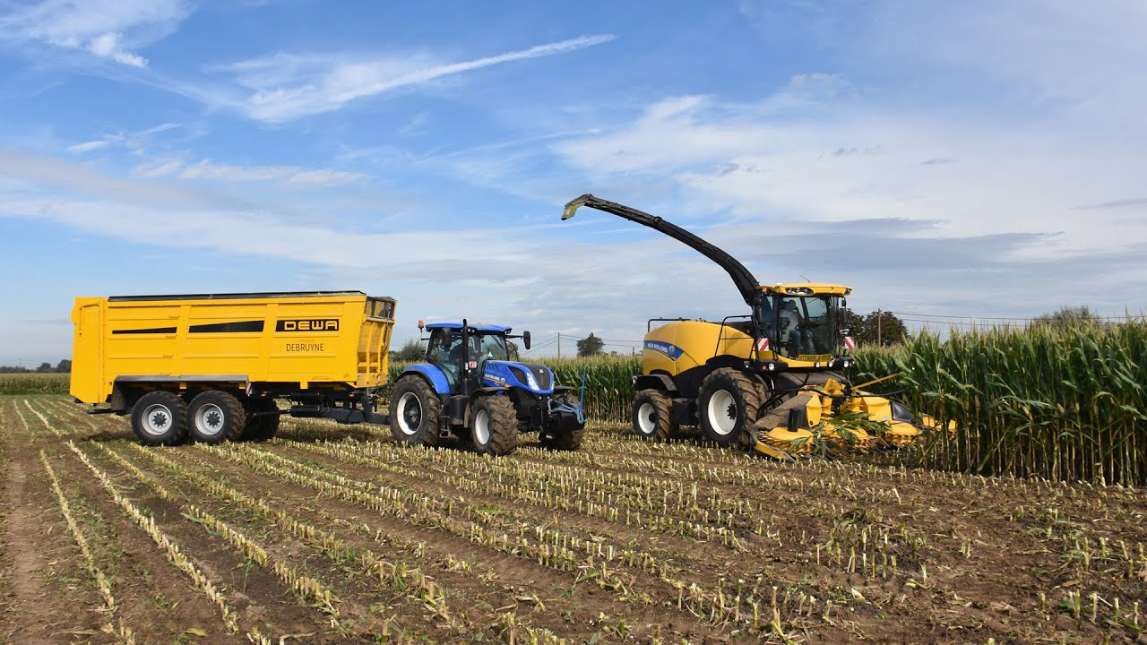 Loonwerken Debruyne - Mais hakselen 2023