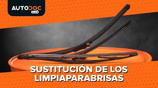 Reemplazar Escobillas de limpiaparabrisas : manual de taller