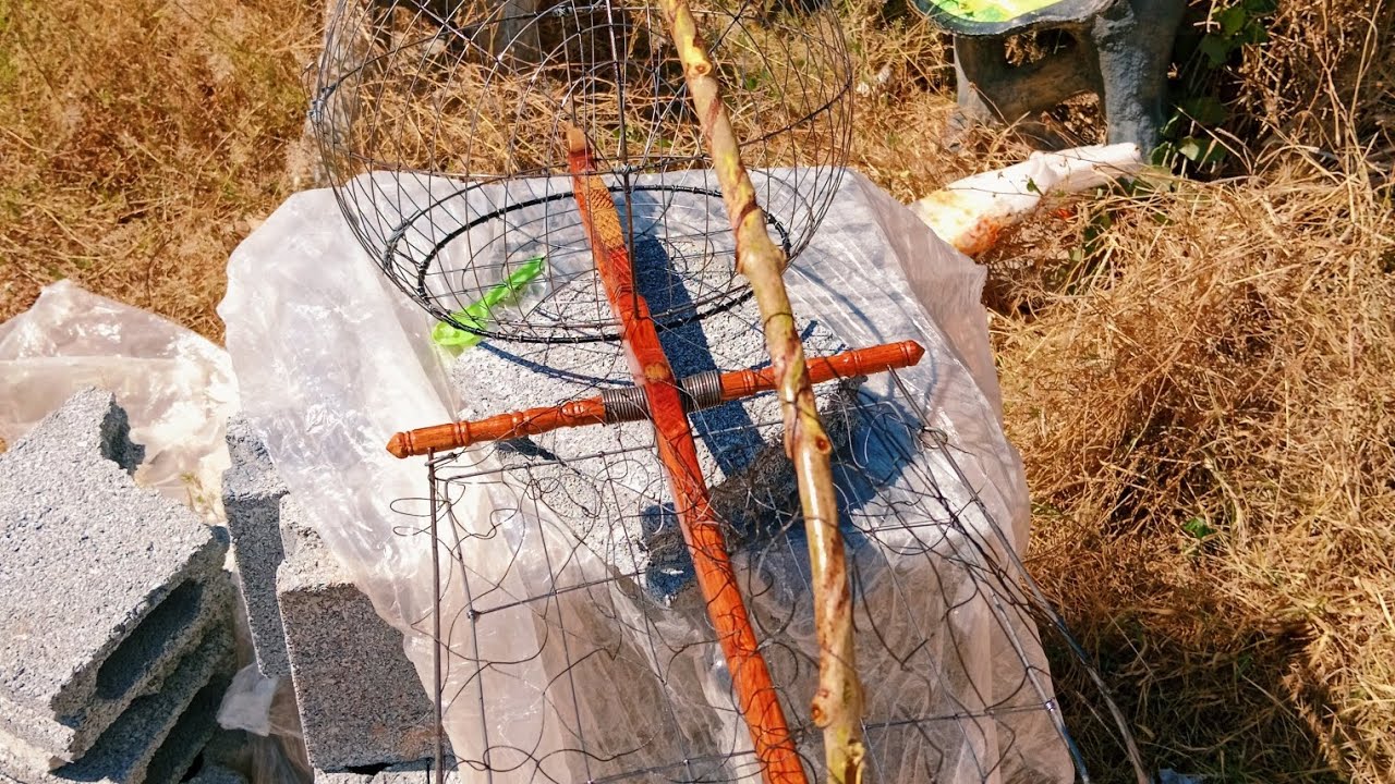 เพนียดต่อนกเขาใหญ่คอนบน  ช่างยู...โคราช0942788303