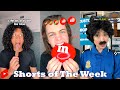 New Shorts of The Week February 2025 Part 3