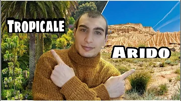 Quando aprire il terrario?