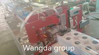 Start Your Toilet Tissue Business With Semi-Auto Packing Machines