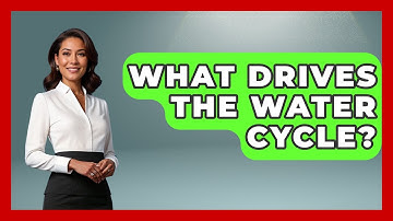 What Drives The Water Cycle? - Weather Watchdog