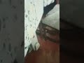 Сергій Лазановський Чорна Хмара