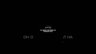 Мухаммад Люхайдан. Сура«аль-Араф» аят 30 #Quran