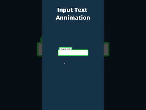 Input Text animation.