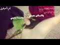 حبك يداويني يالساكن بعيني حبك يداويني يالساكن بعيني