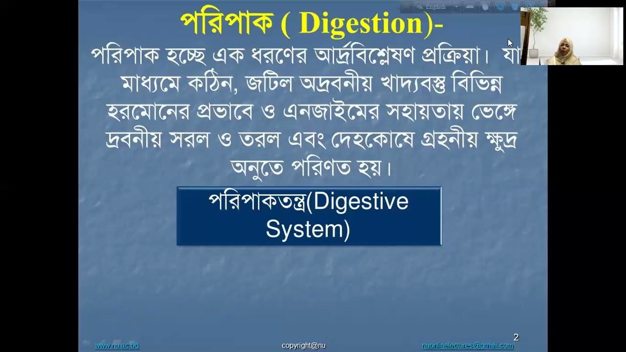 Human Physiology  Honours 3rd Year Leacture 01