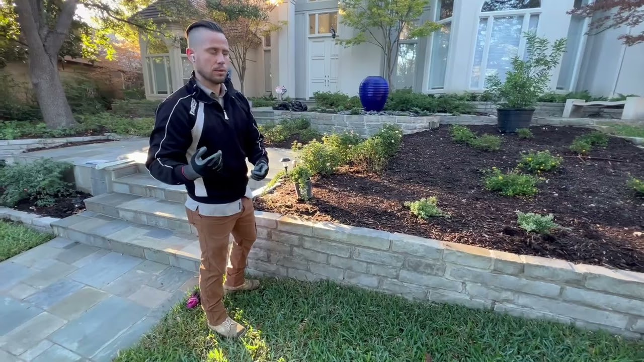 How to Evenly Space Plants Apart