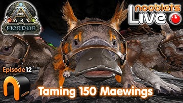 Taming Lots of 150 Maewings Ep12 LIVE!