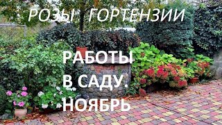 ПОДГОТОВКА К ЗИМЕ РОЗ и КРУПНОЛИСТНЫХ ГОРТЕНЗИЙ. Работы в саду в НОЯБРЕ.