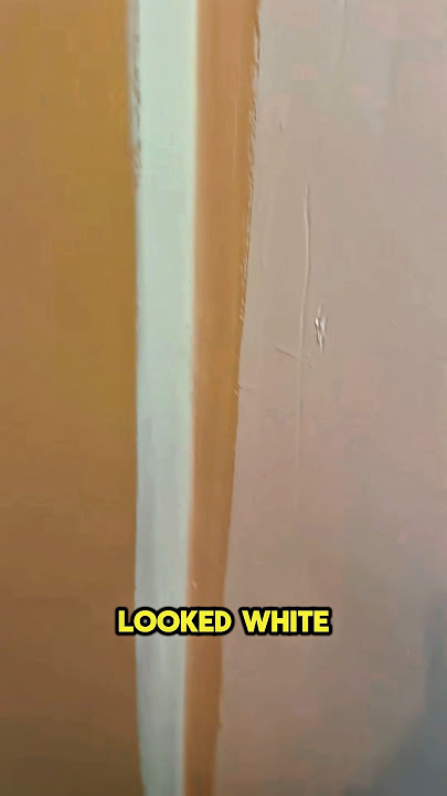 Same Paint Shocking Result