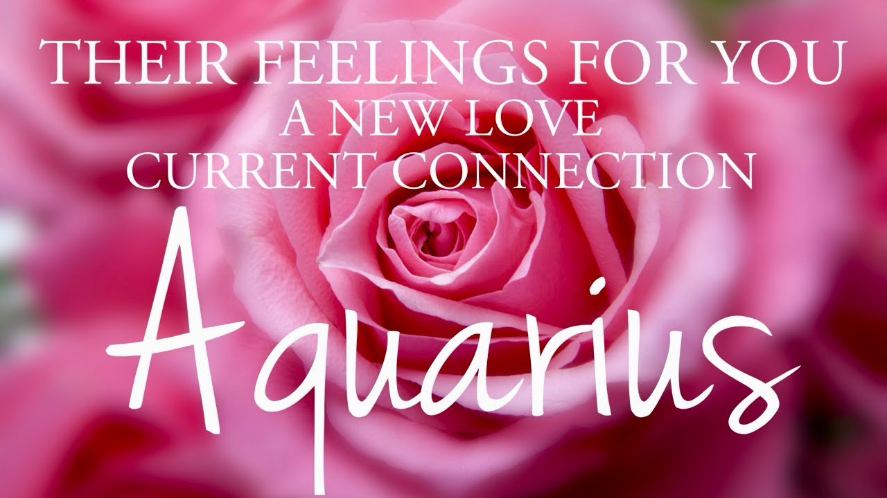 AQUARIUS love tarot ♒️ Someone Who Wants To Know If You Like Them 🤗 You Need To Hear This