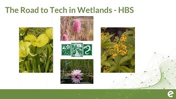 April 2020 Webinar - Convergence of Wetland Science and Technology