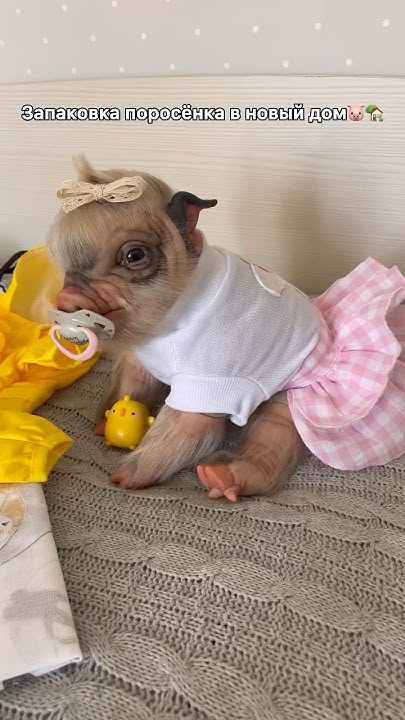 Запаковка куклы реборн #куклы #reborn #реборн #дети #животные #pets # ...