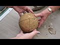 Breaking open grandmas sandstone rock from 45 years ago fossil inside