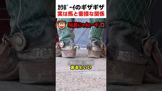 カウボーイのギザギザ実は馬と密接な関係