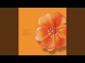 液体の夜 / liquid night