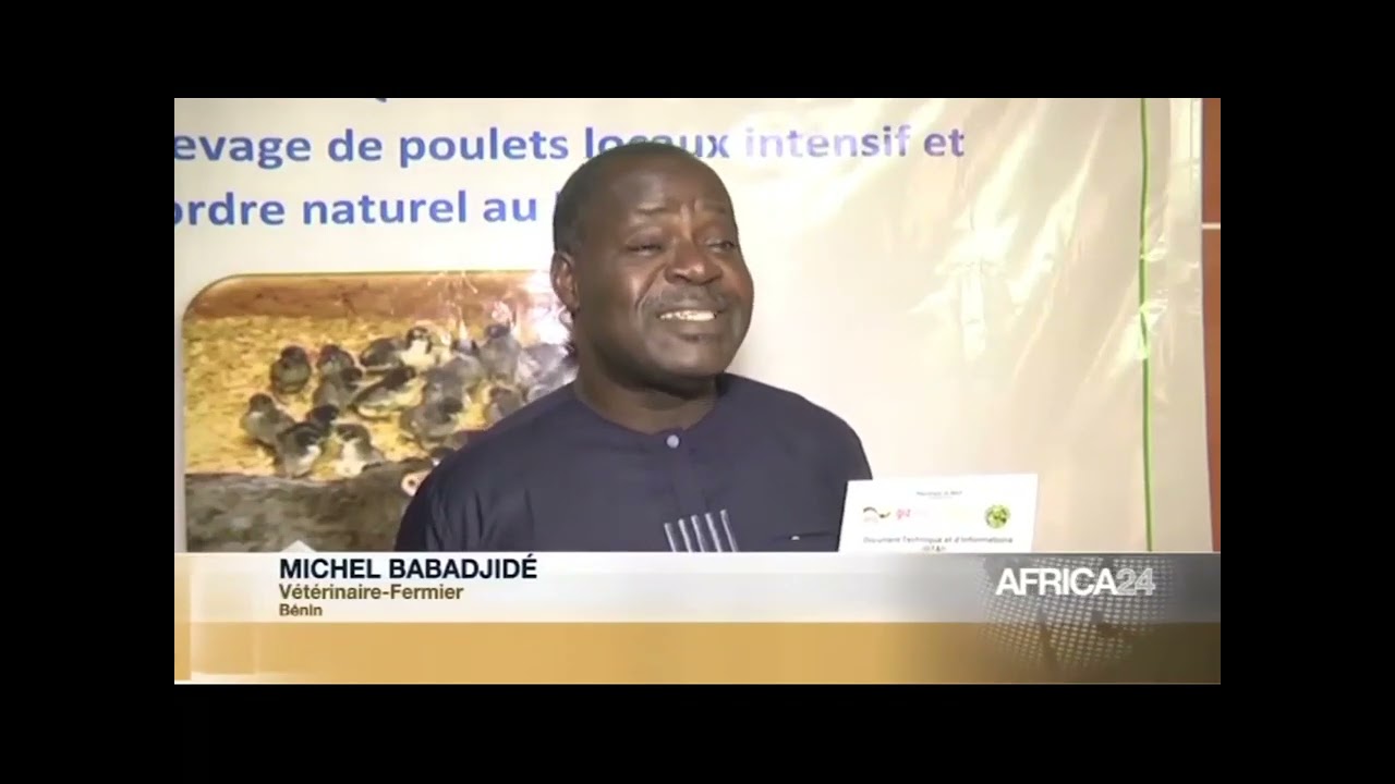 Élevage intensif de poulets locaux - Ouvrage Dr Michel Babadjide #Benin