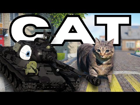 MinutesTanker In His Cat Arc😭 (Compilation)