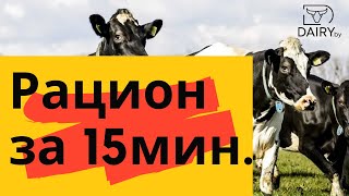 Рацион для коровы за 15 минут. Обзор для чайников. Принципы создания и контроля