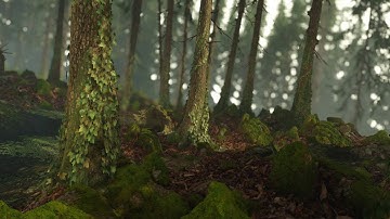 Rendered in Cryengine 5 - Cinematics