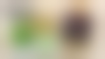 What is Full-Spectrum CBD Oil?