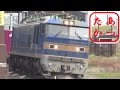 【高速貨物列車大集合！】EF210 EF510 EH200ほか多数登場！
