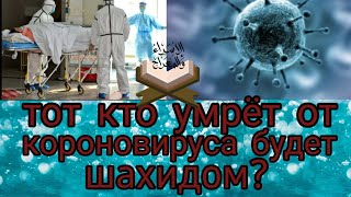 Умер от короновируса,будет ли он шахидом