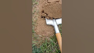 Thumbnail of Dig up the nest of invading fire ants with a titanium shovel.They are venomous ants and super scary!