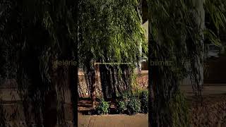 Hiç Kimse Senin Ne Yaşadığını Bilmez ...