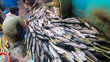 Cận cảnh quy trình làm Hàng ngàn con Cá lóc nướng mía chuẩn bị bán ngày Vía thần tài ở Sài Gòn