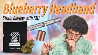 Blueberry Headband | Louisiana Medical Marijuana Review | FMJ
