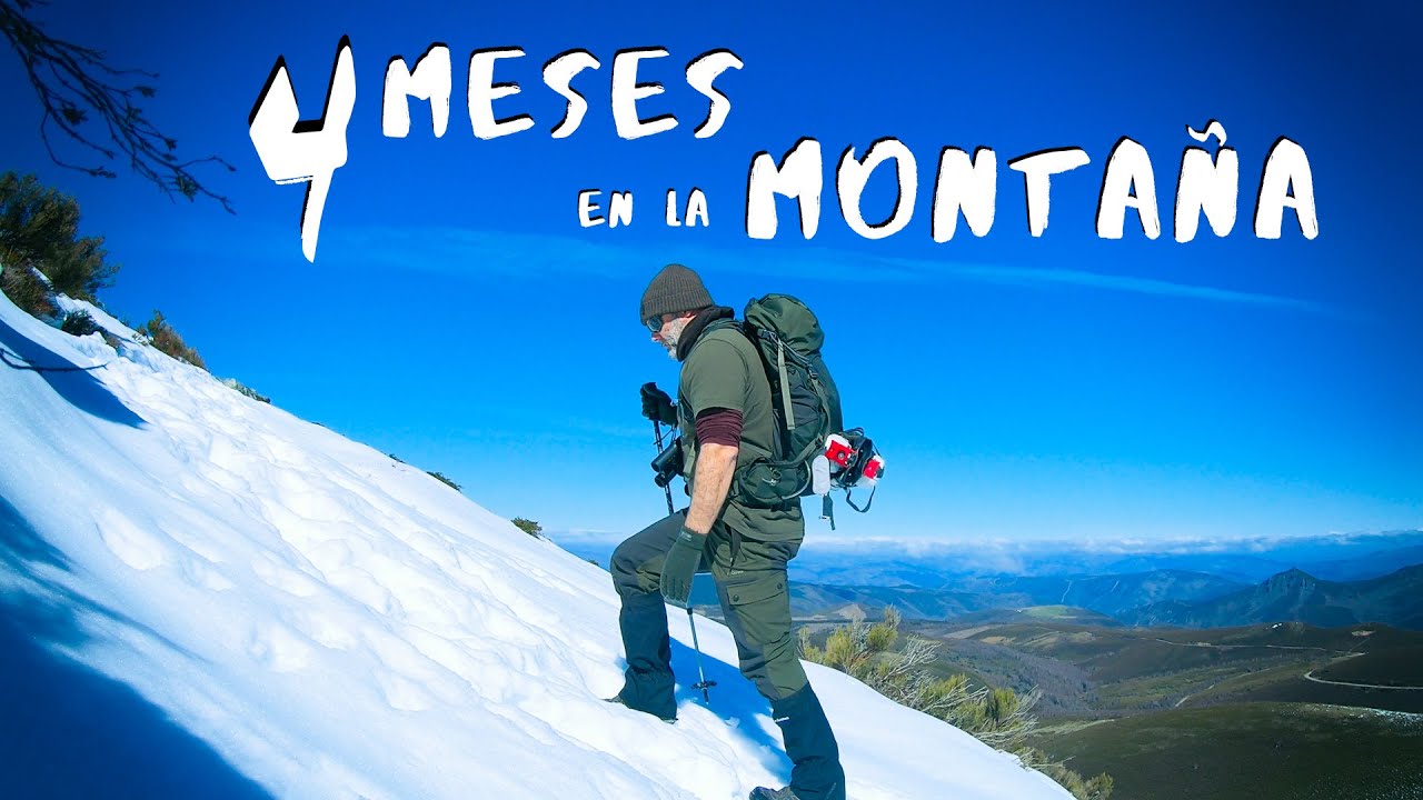 “Fauna Salvaje en Invierno: Fototrampeo en las Montañas de Galicia ❄️”