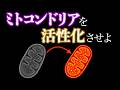 【アメリカ発】ミトコンドリアを活性化させて一日中覚醒状態になる10の方法｜ジョシュ・アックス博士