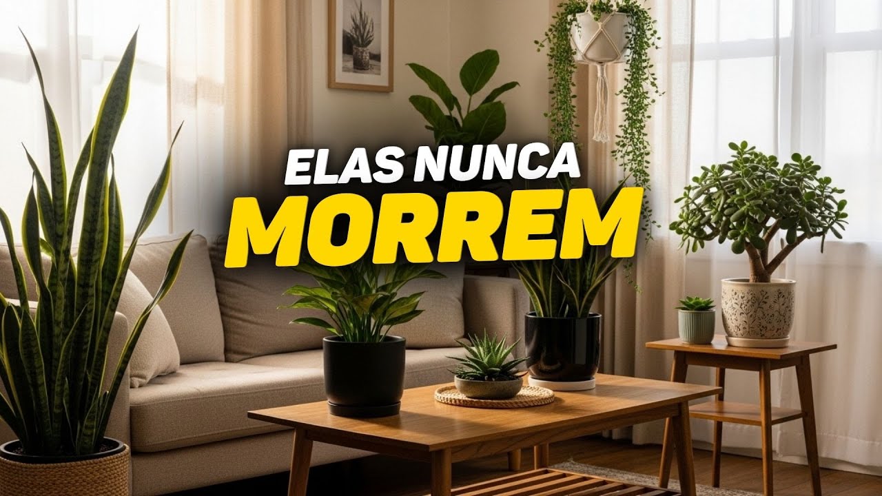7 Plantas Imortais Que Sobrevivem Até ao Esquecimento!