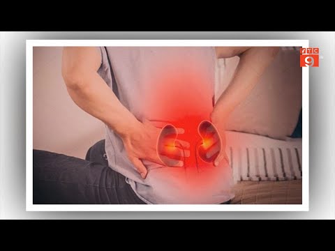 Video: Dấu Hiệu Ban đầu Của Bệnh Thận Mãn Tính ở Mèo