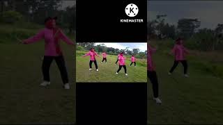Download Lagu SENAM SEHAT AKTIF SLEMAN BANGKIT - Lomba Video Senam bersama Parikesit - Sedulur Mas Basit Sleman MP3