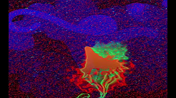 Procedurally Generated Music Video