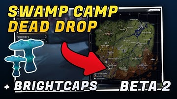 Swamp Camp Dead Drop & Brightcap Mushrooms (The Cycle: Frontier)