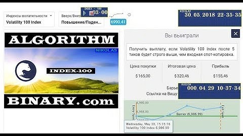 ALGORITHM Index - 100 Binary.com