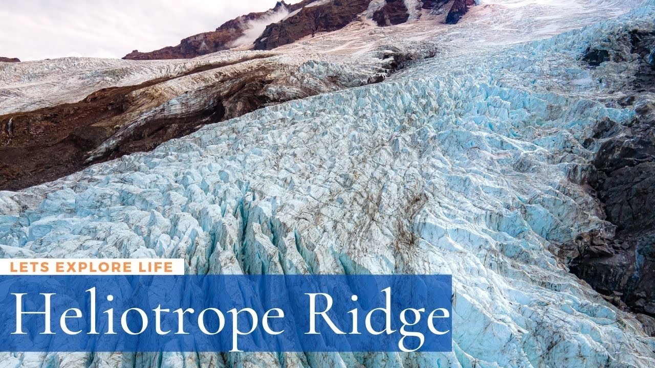 Heliotrope Ridge Trail Hike Mt baker Washington 2021