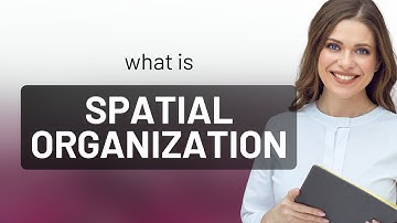Unlocking the Secrets of Spatial Organization