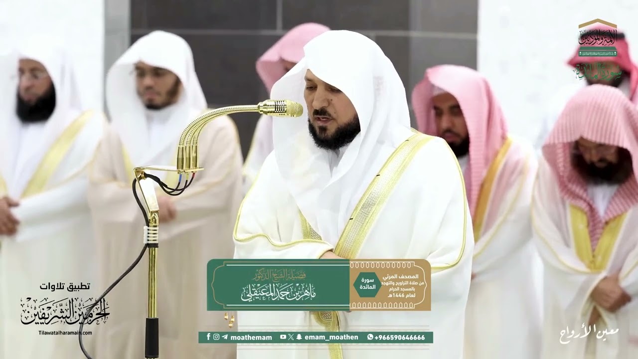 صلاة التراويح للشيخ د.⁧ #ماهر_المعيقلي⁩  ليلة  8 رمضان 1446هـ من سورة المائدة {41-81}