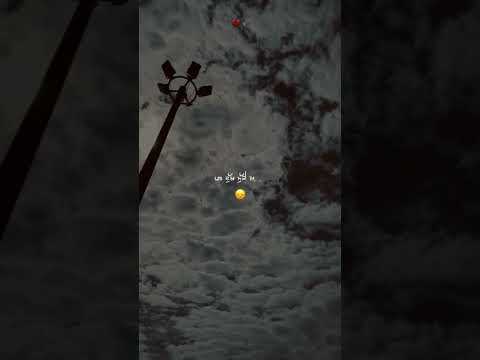 Rat Muk Gai Trending Love Trueline Truelove Ytshorts