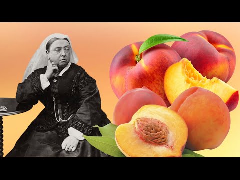 Video: Mga Uri ng Peach Stone - Ano Ang Semi-Freestone Peaches, Freestone Peaches at Clingstone Peaches