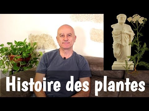 Vidéo: La Brève Histoire Des Plantes Comme Médecine